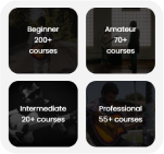 Courses in Spicy Guitar Academy